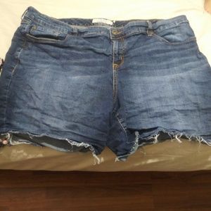 Torrid frayed shorts